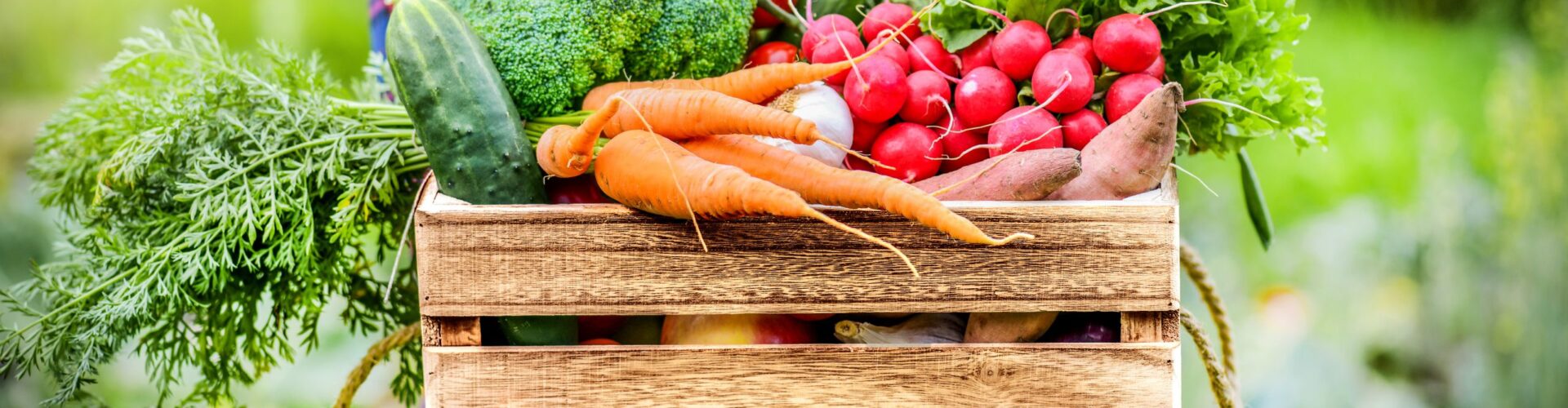 Les Fruits Du Refus En 6 Lettres Alimentation, produits alimentaires bio de qualité , pas chers dans le 91-77