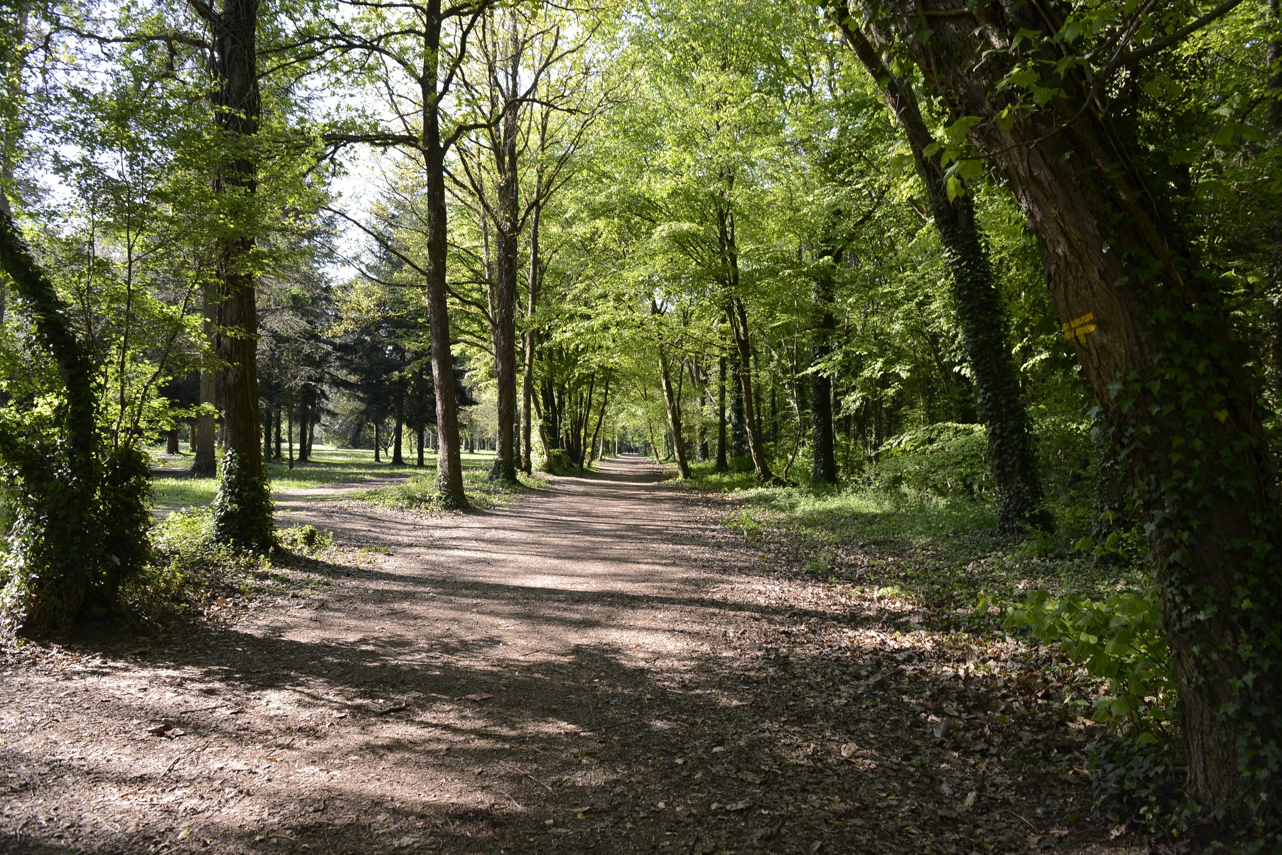 Foret De L Essonne En 6 Lettres Les espaces naturels - Grand Paris Sud