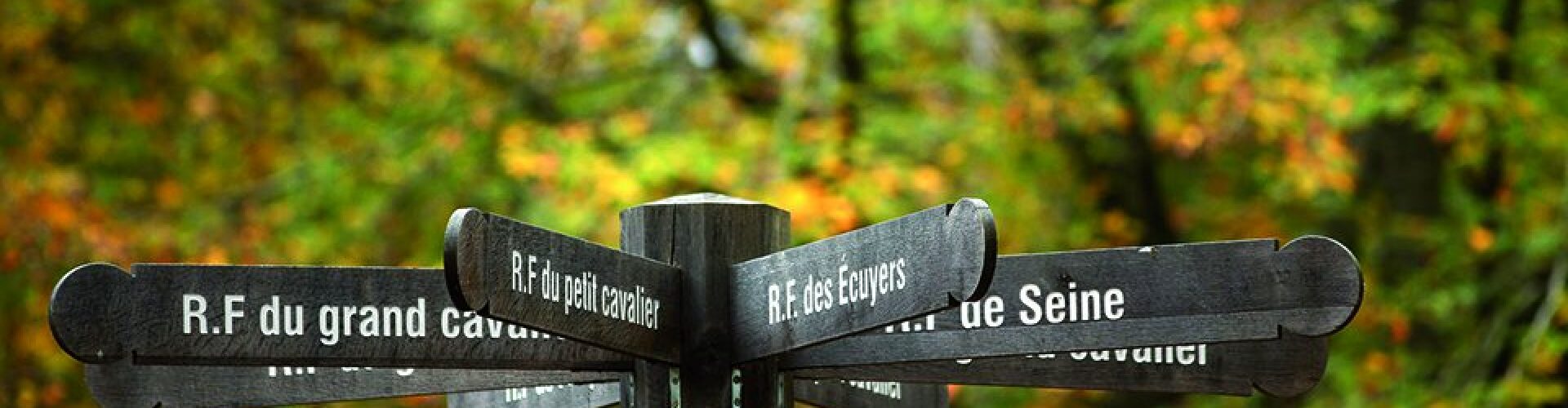 Foret De L Essonne En 6 Lettres À la découverte de nos forêts - Grand Paris Sud