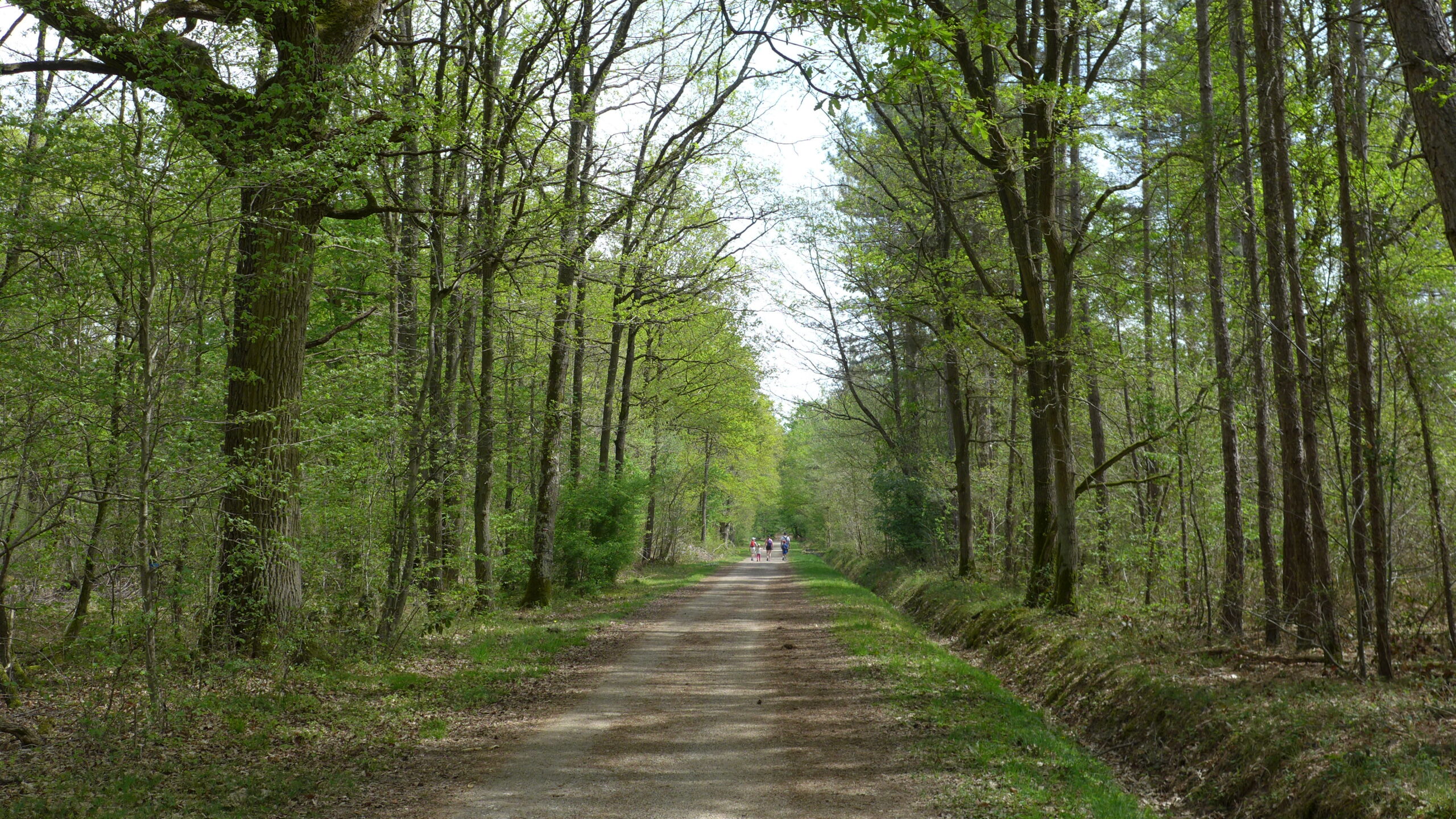 Foret De L Essonne En 6 Lettres Balade à vélo forêt de Sénart et Rougeau