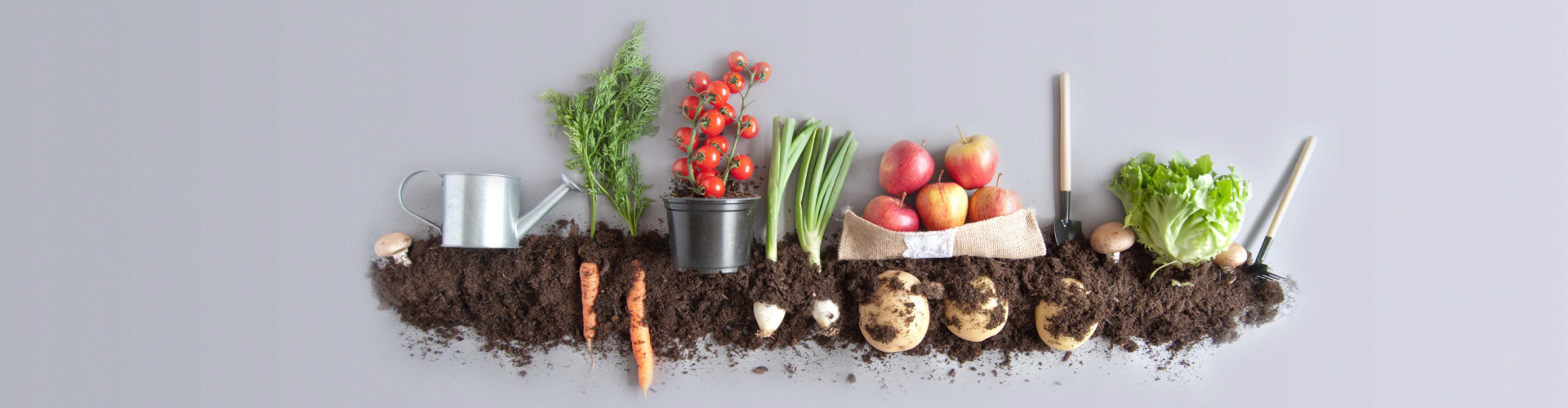 Les Fruits Du Refus En 6 Lettres Défi alimentation - Grand Paris Sud